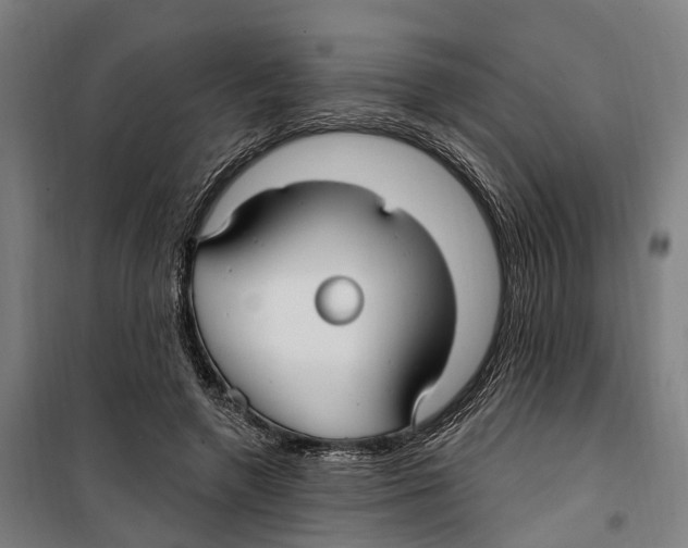 X0000099520546200806121504