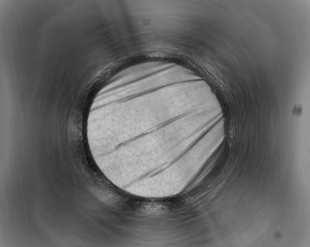 X0000099520547200806121504