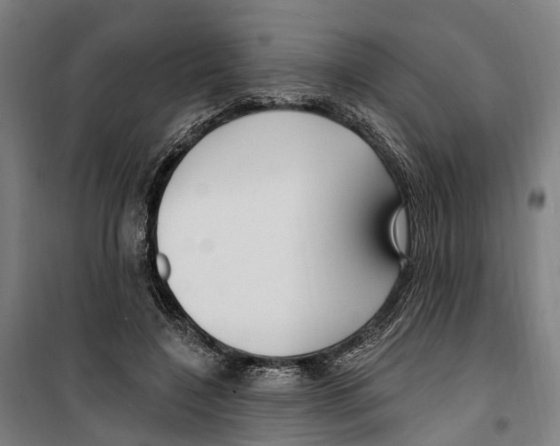 X0000099520548200806121504