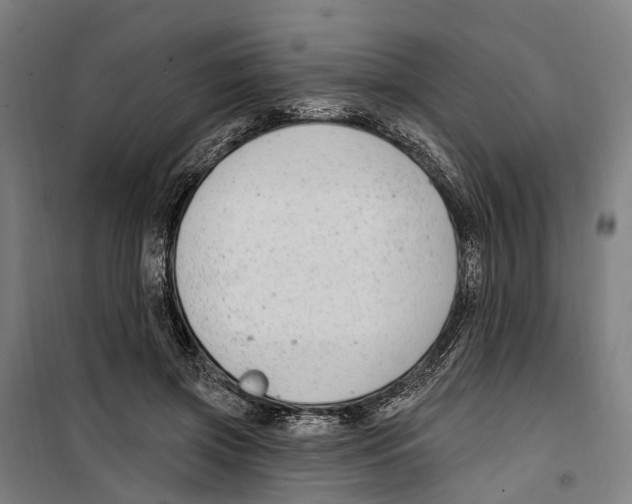 X0000099520549200806121504