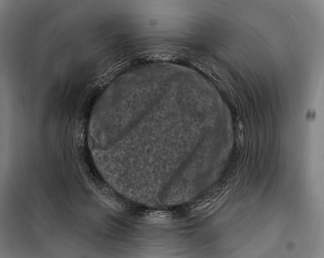 X0000099520551200806121504