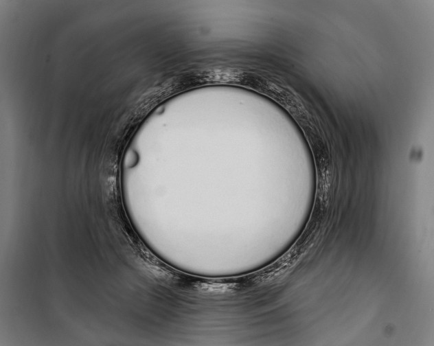 X0000099520553200806121504