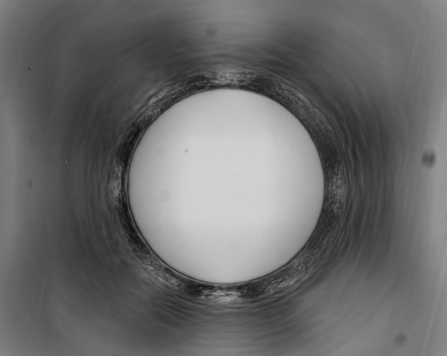 X0000099520554200806121504