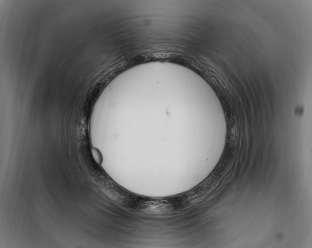 X0000099520555200806121504