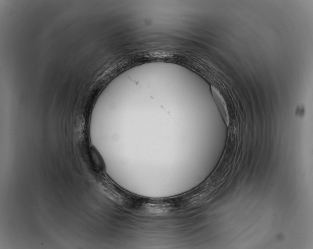 X0000099520556200806121504