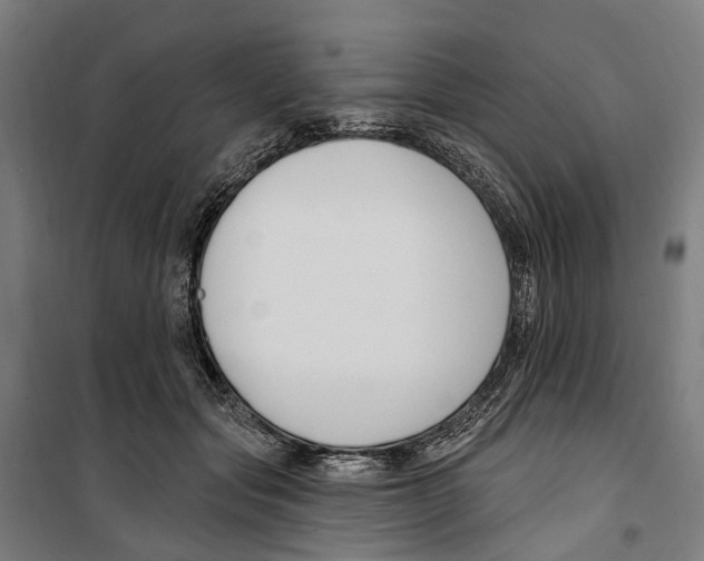 X0000099520557200806121504