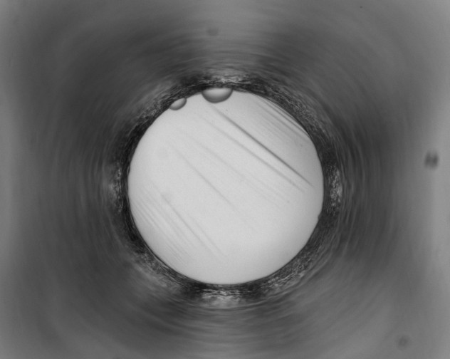 X0000099520559200806121504