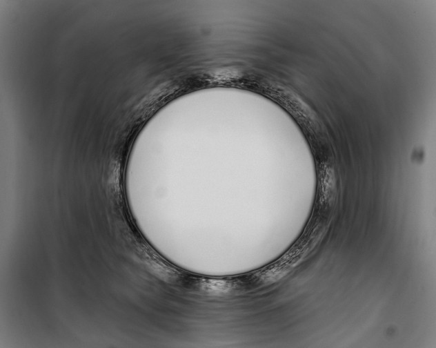 X0000099520565200806121504