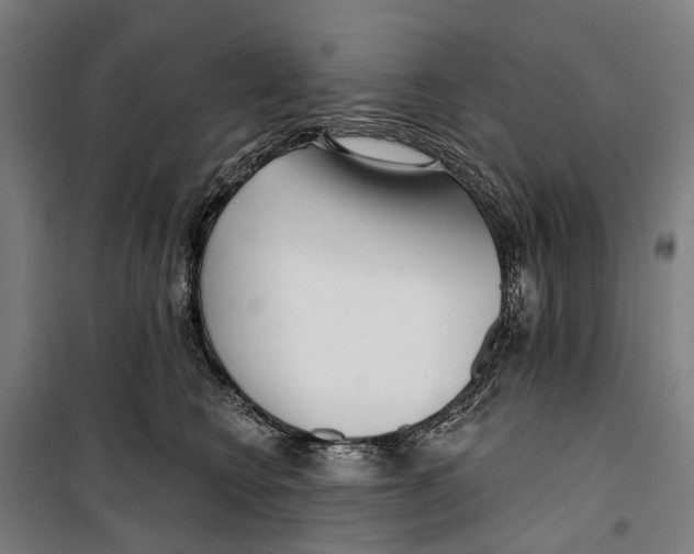 X0000099520566200806121504