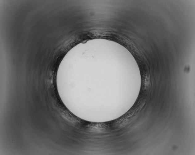 X0000099520567200806121504