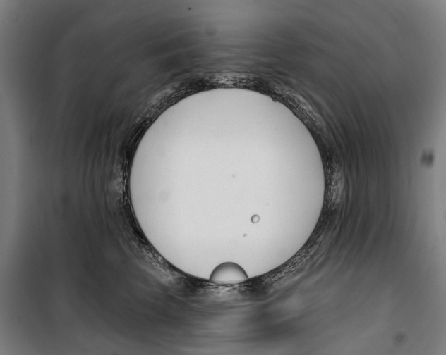 X0000099520569200806121504