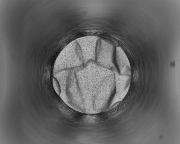 X0000099520570200806121504