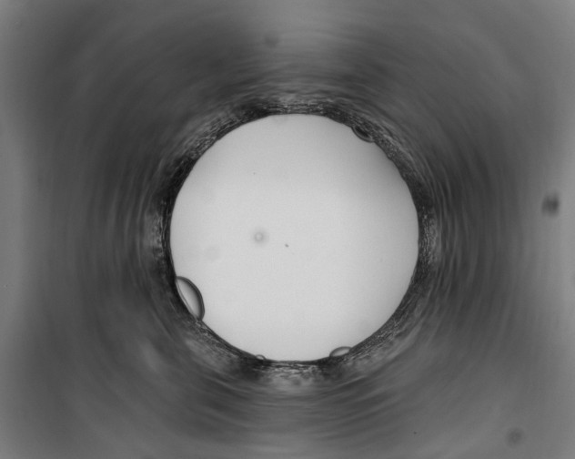 X0000099520571200806121504