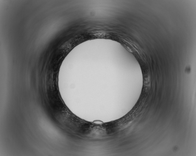 X0000099520572200806121504