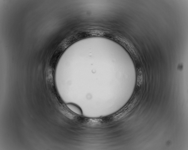 X0000099520573200806121504