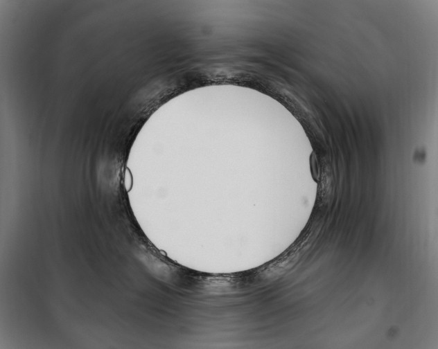 X0000099520574200806121504