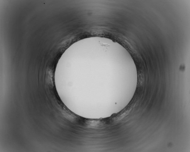 X0000099520575200806121504