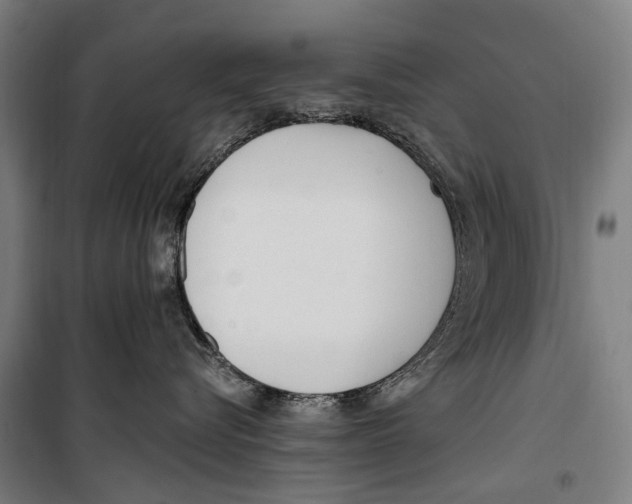 X0000099520576200806121504