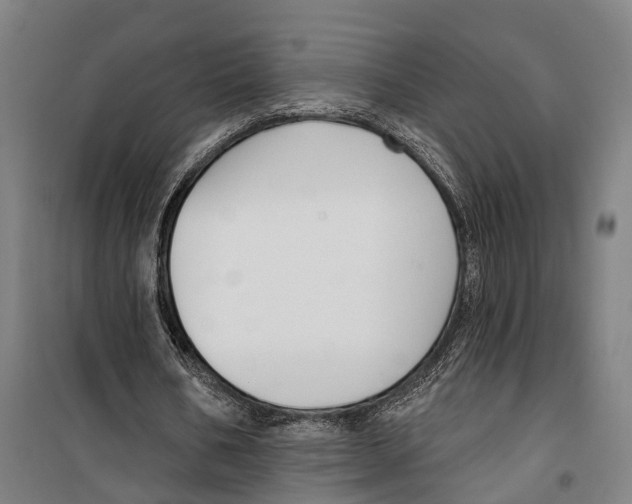 X0000099520578200806121504