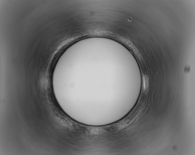 X0000099520579200806121504