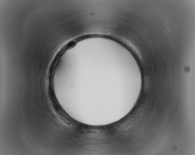 X0000099520580200806121504