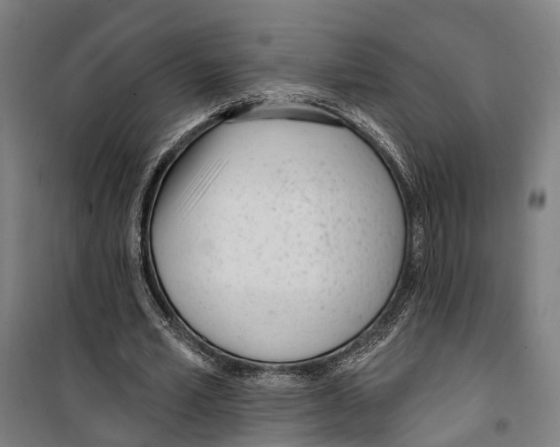 X0000099520581200806121504