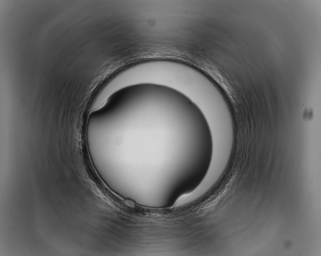 X0000099520585200806121504