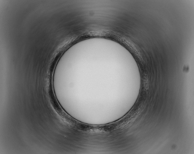 X0000099520586200806121504