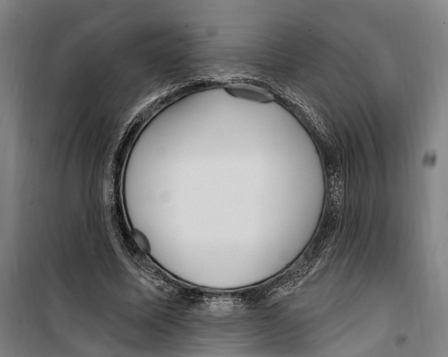 X0000099520587200806121504