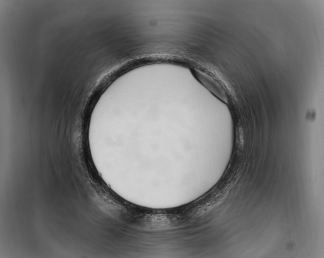 X0000099520588200806121504