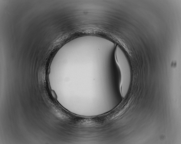 X0000099520589200806121504