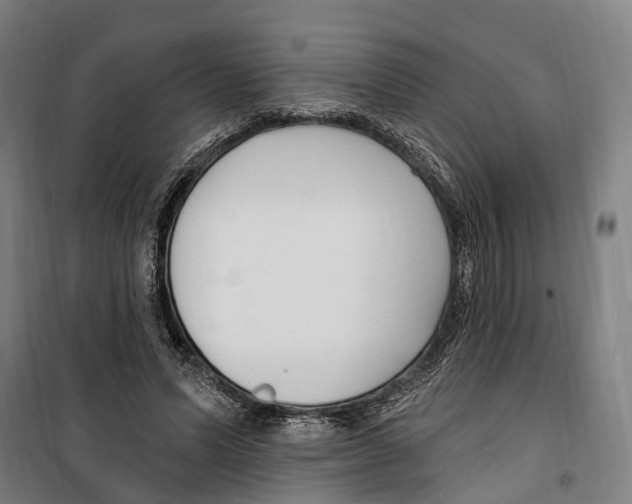 X0000099520591200806121504