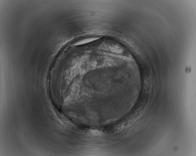 X0000099520592200806121504