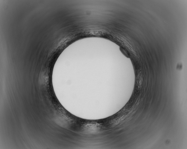 X0000099520595200806121504