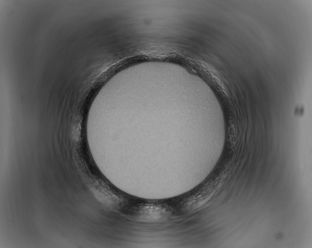 X0000099520596200806121504