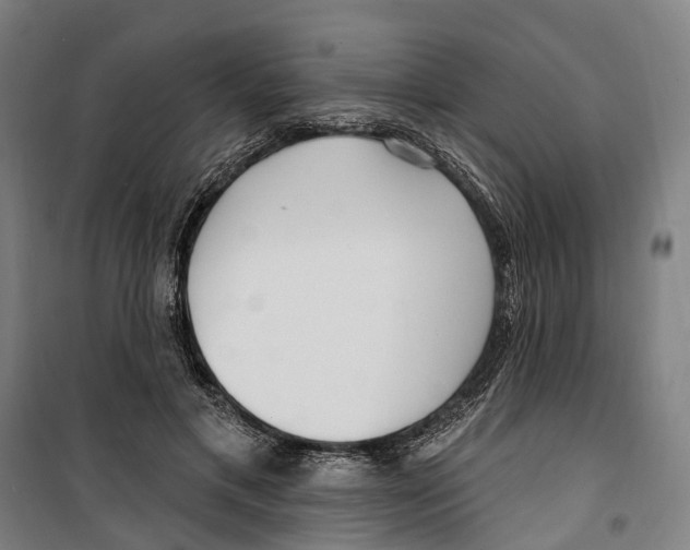 X0000099520597200806121504