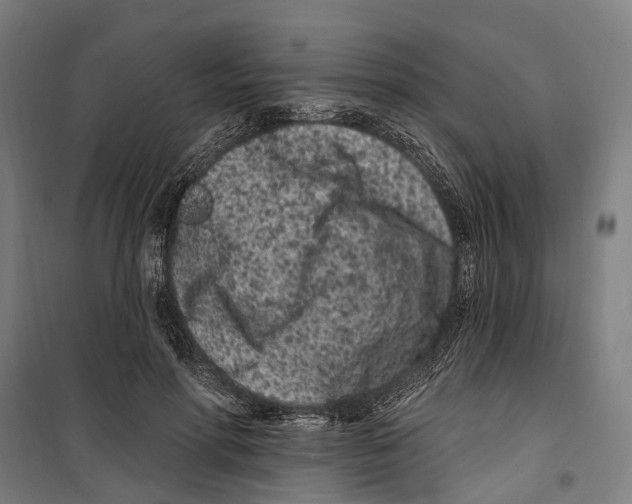 X0000099520598200806121504