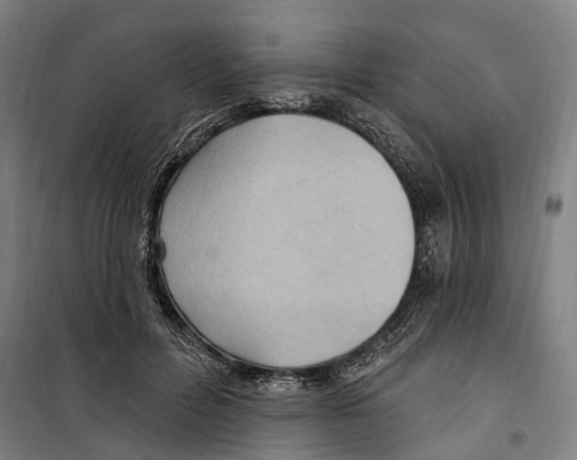 X0000099520600200806121503