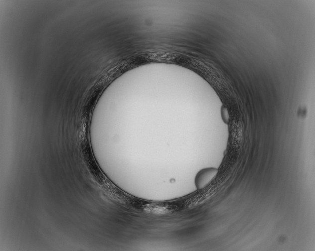 X0000099520602200806121503