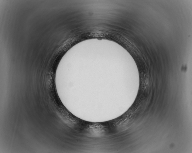 X0000099520603200806121503