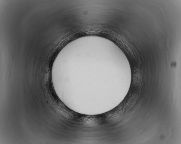 X0000099520604200806121503