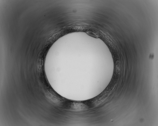 X0000099520605200806121503