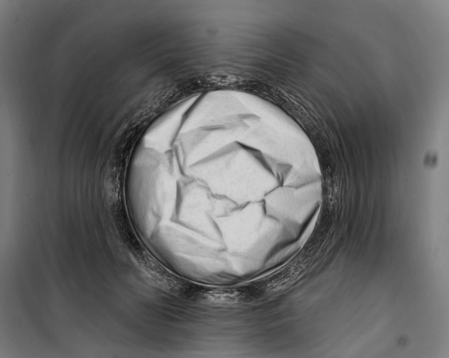 X0000099520606200806121503