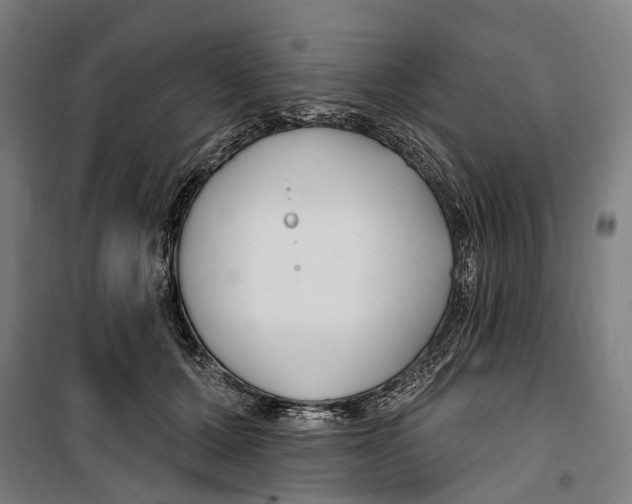 X0000099520607200806121503