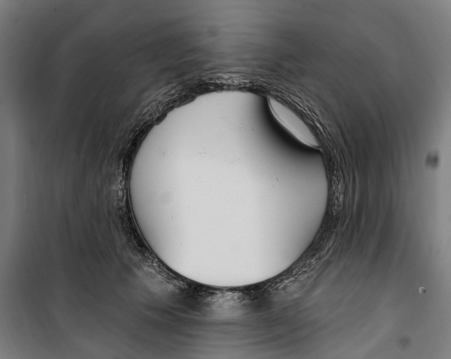 X0000099520609200806121503