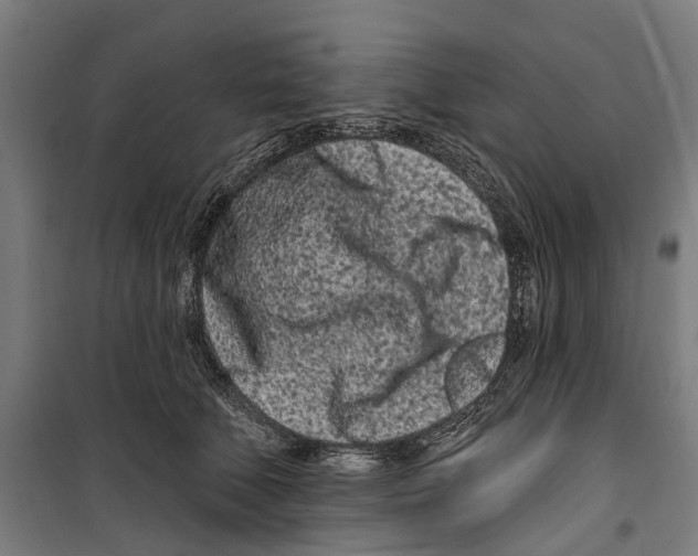 X0000099520610200806121503