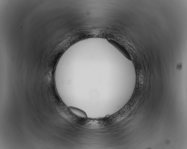 X0000099520611200806121503