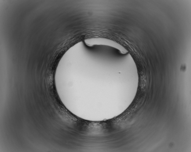 X0000099520613200806121503