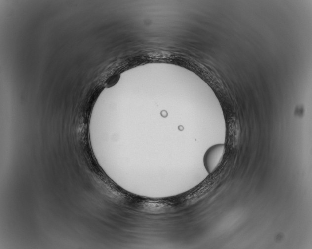 X0000099520614200806121503