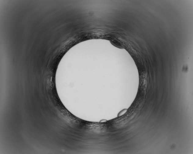 X0000099520615200806121503